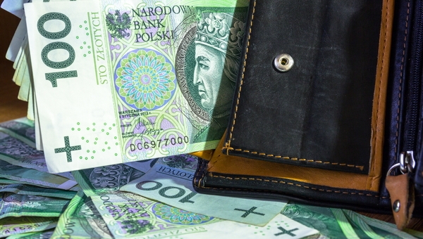 obraz przedstawia banknoty i portfel 